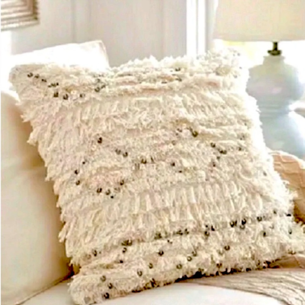 Set of 2 Pottery Barn Pillows